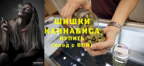 винт Гусь-Хрустальный
