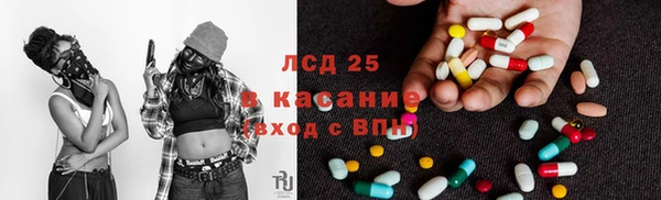 ешки Гусев