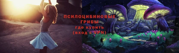 ешки Гусев