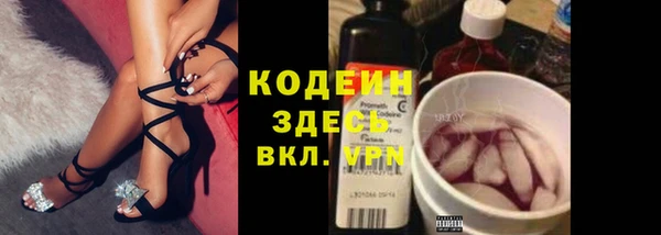 дживик Гусиноозёрск