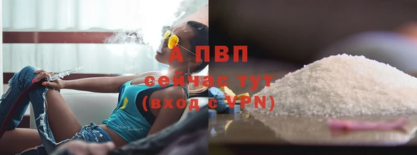 винт Гусь-Хрустальный