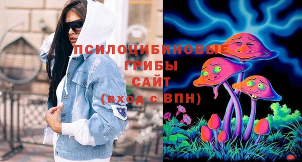 винт Гусь-Хрустальный