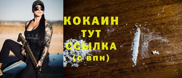 дживик Гусиноозёрск