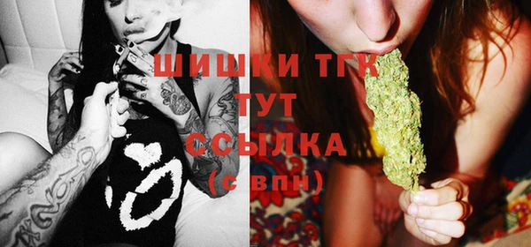 винт Гусь-Хрустальный