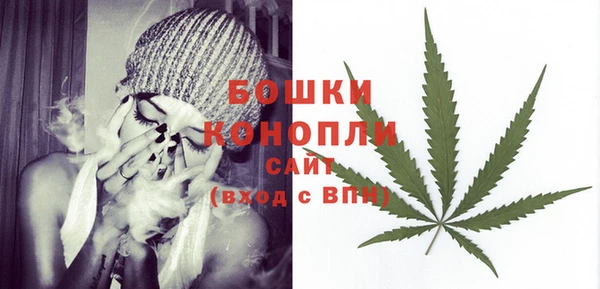дживик Гусиноозёрск