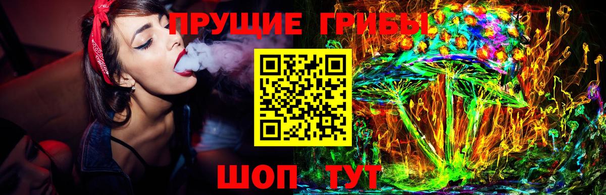 Псилоцибиновые грибы Psilocybe Заволжье