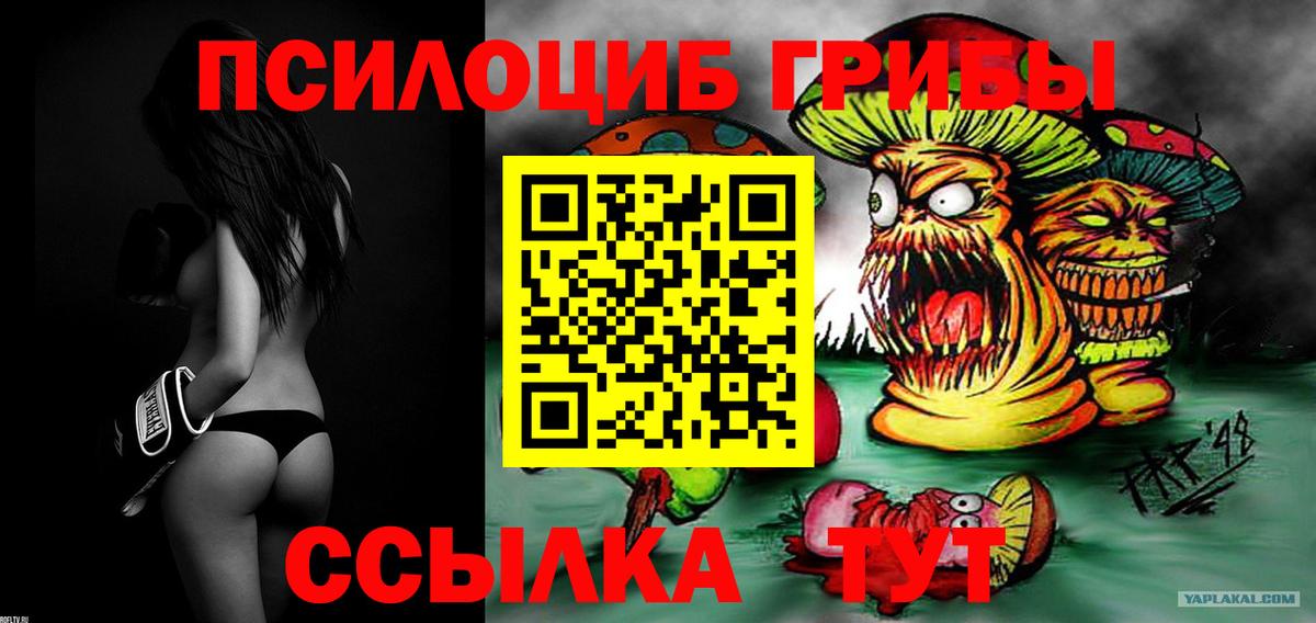 Заволжье  Галлюциногенные грибы Psilocybine cubensis  что такое   Вход с VPN 