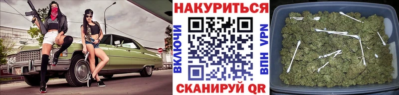 МАРИХУАНА сатива  Заволжье 