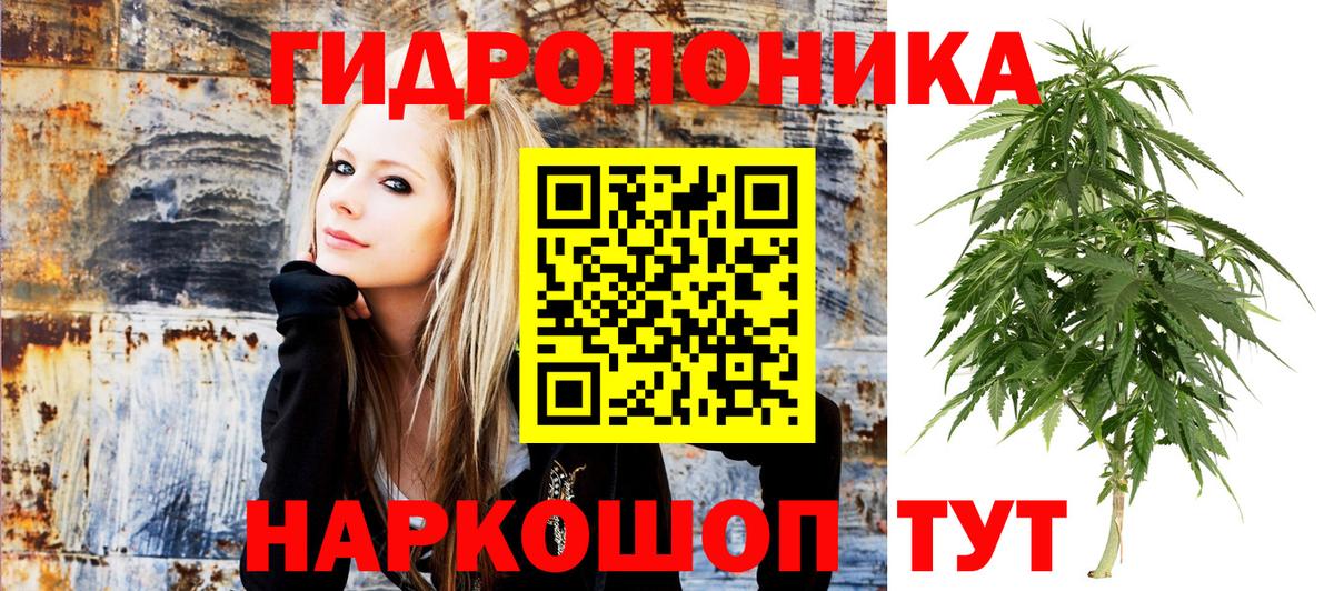 Канабис Amnesia Заволжье